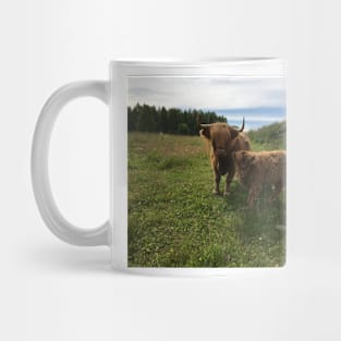 Scottish Highland Cattle Cow and Calf 1451 Mug